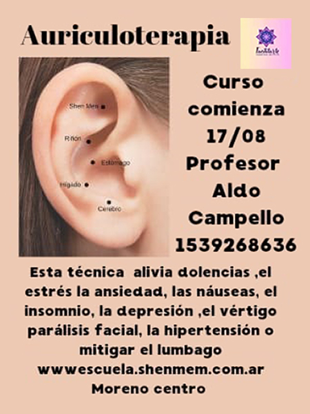 Facilitarte Curso de Auriculoterapiia