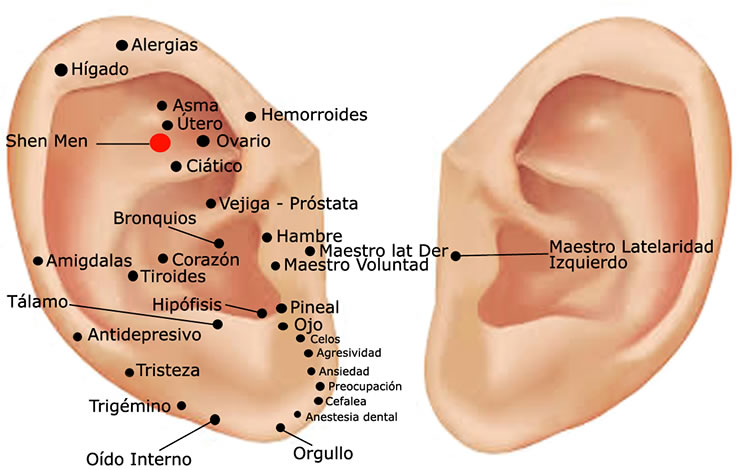 Auriculoterapia